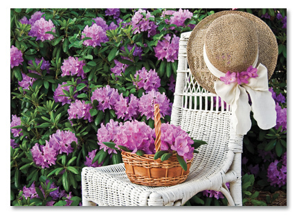 White chair w/ purple flowers