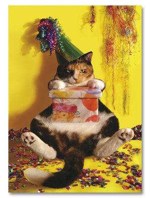 Birthday Cat