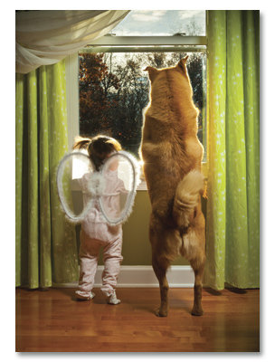 Little angel and big dog