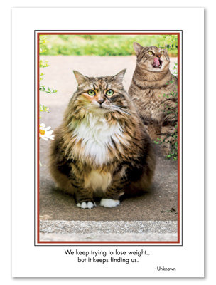 Trying to Lose Weight