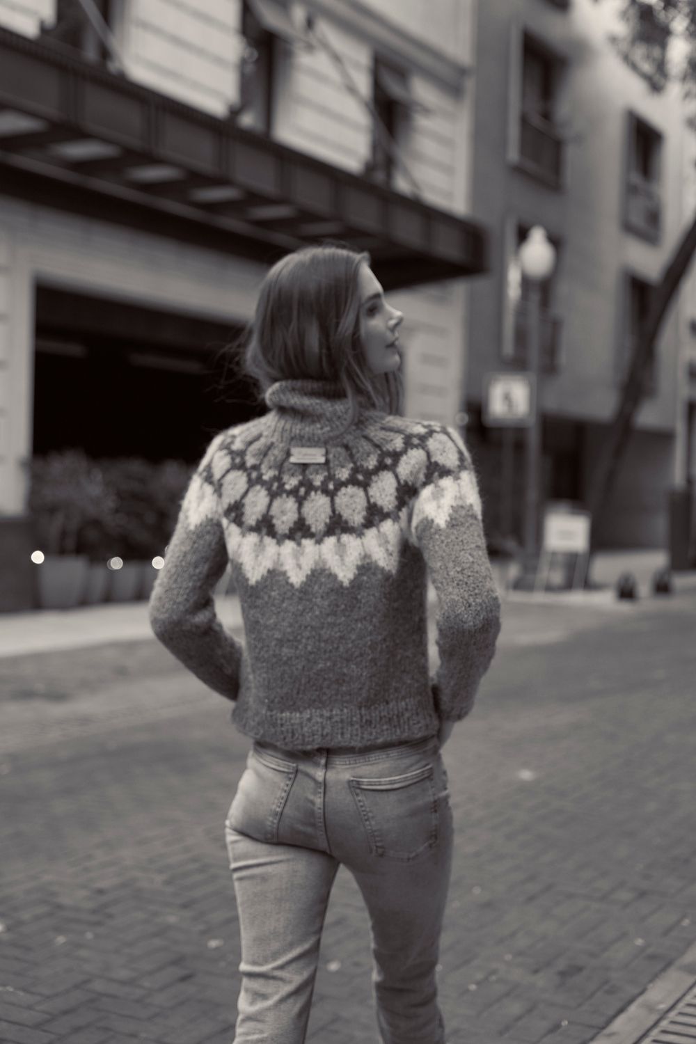 Sweater cuello alto Fasano