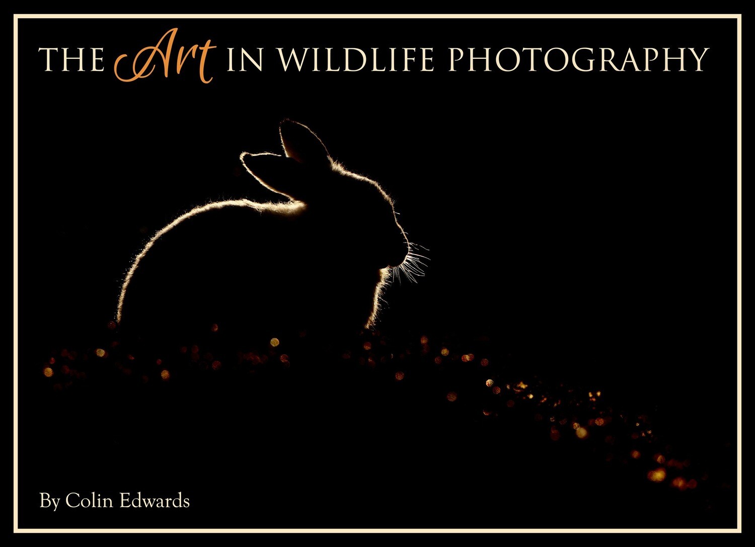The Art in Wildlife Photography