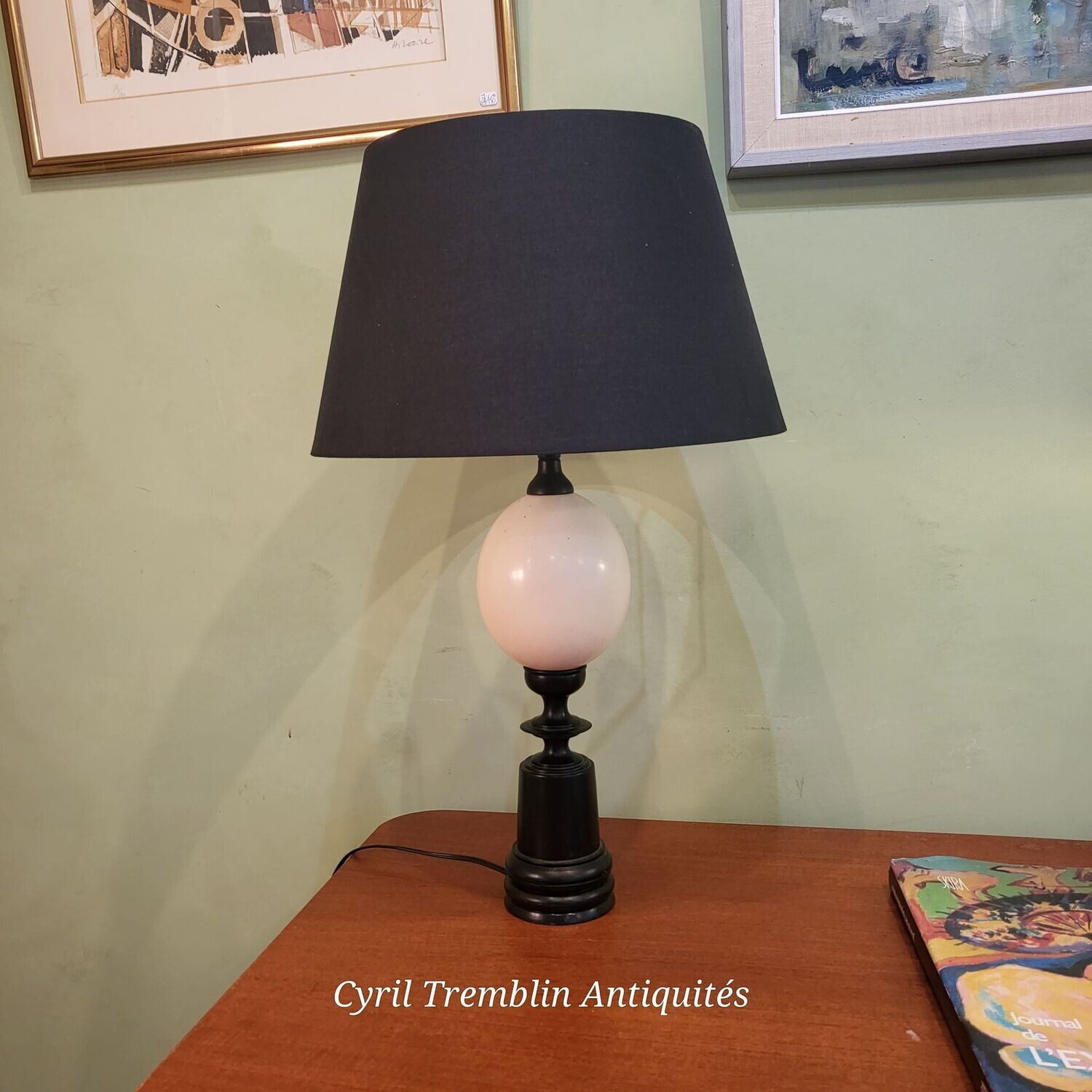 Lampe œuf d'autruche