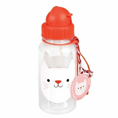 Water Bottle Cookie the Cat