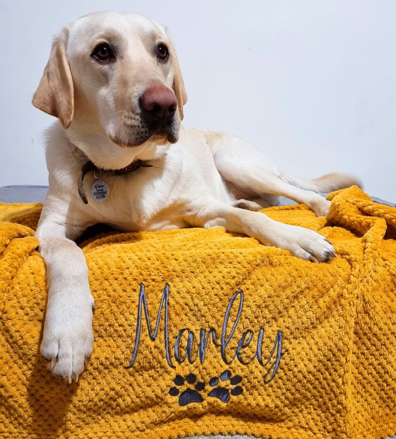 My pet blanket sale