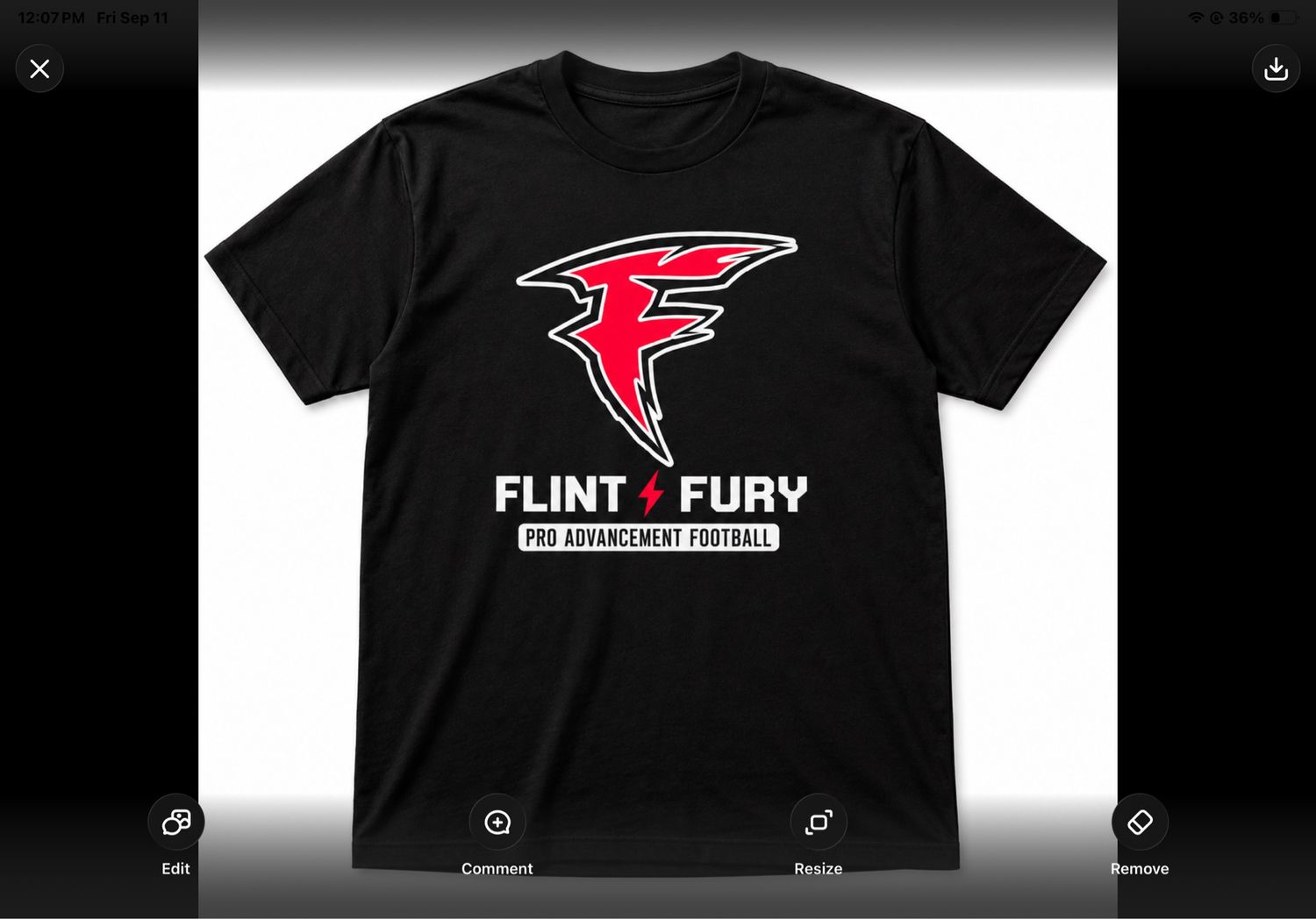 Official “F” Logo Flint Fury T