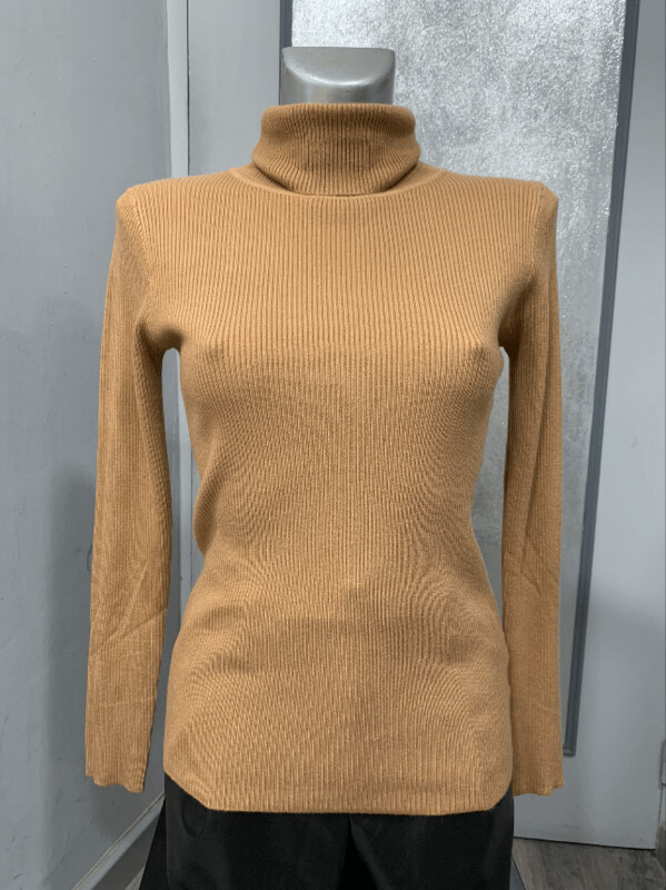 Pull Col roulé cottelé