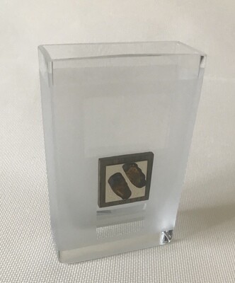 Frosted Glass Vase with  Silver and Amber Tree motif. Cubic shape. Height 16cm.