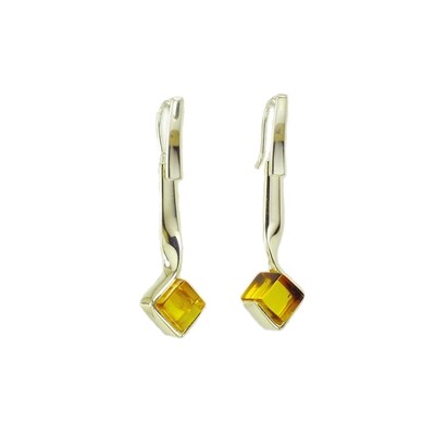 Dangly Earrings
