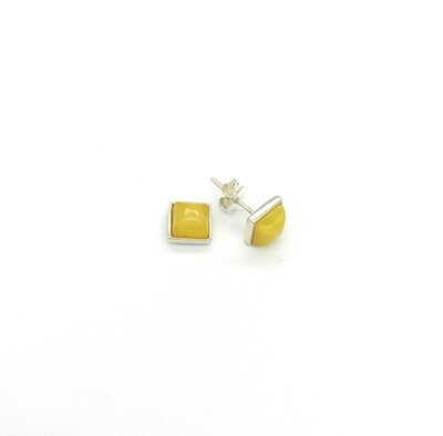 Silver and Amber Earrings - Studs