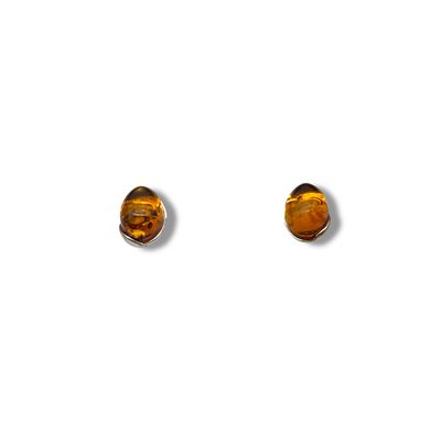 Sterling Silver and Cognac Amber Earrings - Studs