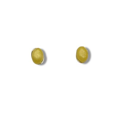 Sterling Silver and Amber Earrings - Studs
