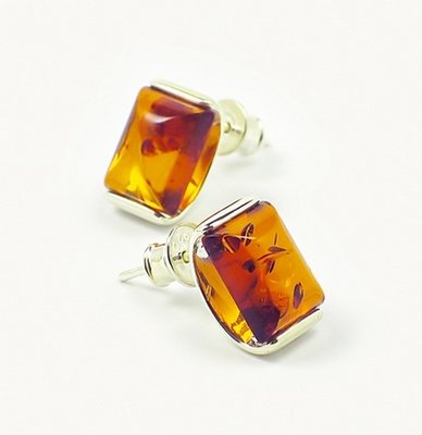 Silver and Amber Earrings - Studs