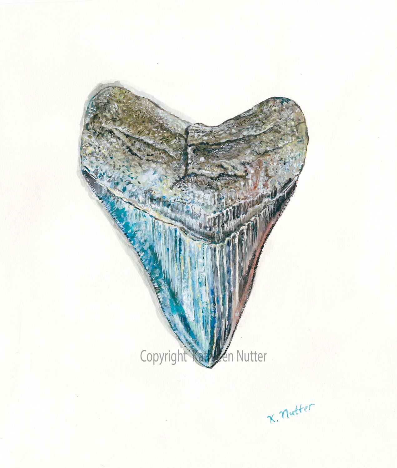 &quot;Megalodon Tooth&quot;, Signed Archival Print of Original Watercolor Painting Featuring a Fossil Shark Tooth from the Chesapeake Bay in Calvert County
