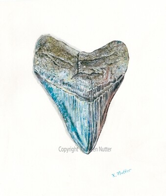 &quot;Megalodon Tooth&quot;, Signed Archival Print of Original Watercolor Painting Featuring a Fossil Shark Tooth from the Chesapeake Bay in Calvert County