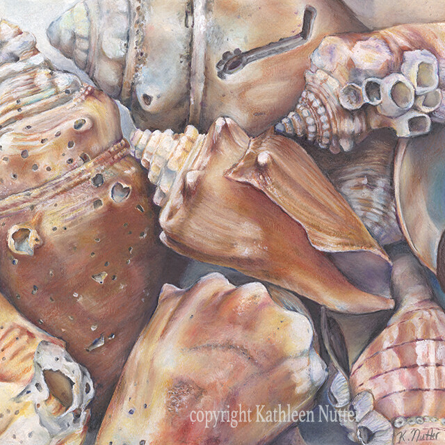 &quot;Sanibel Shells&quot;, Signed Archival Print of Original Watercolor and Artist Pencil Seashell Beach Painting