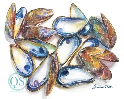 &quot;Madison&#39;s Mussels&quot;, Archival Print of a Shell Still Life Painting