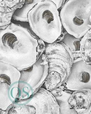 &quot;Shells of Gray&quot; Signed Archival Print from original watercolor painting