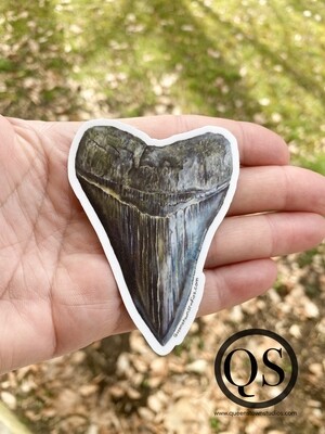Megalodon Shark&#39;s Tooth Fossil Vinyl Sticker