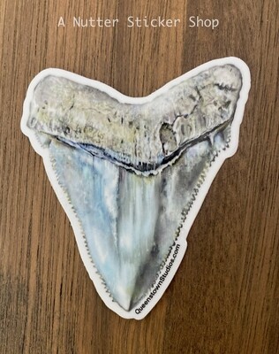Megalodon Shark Tooth Vinyl Sticker Light Blue