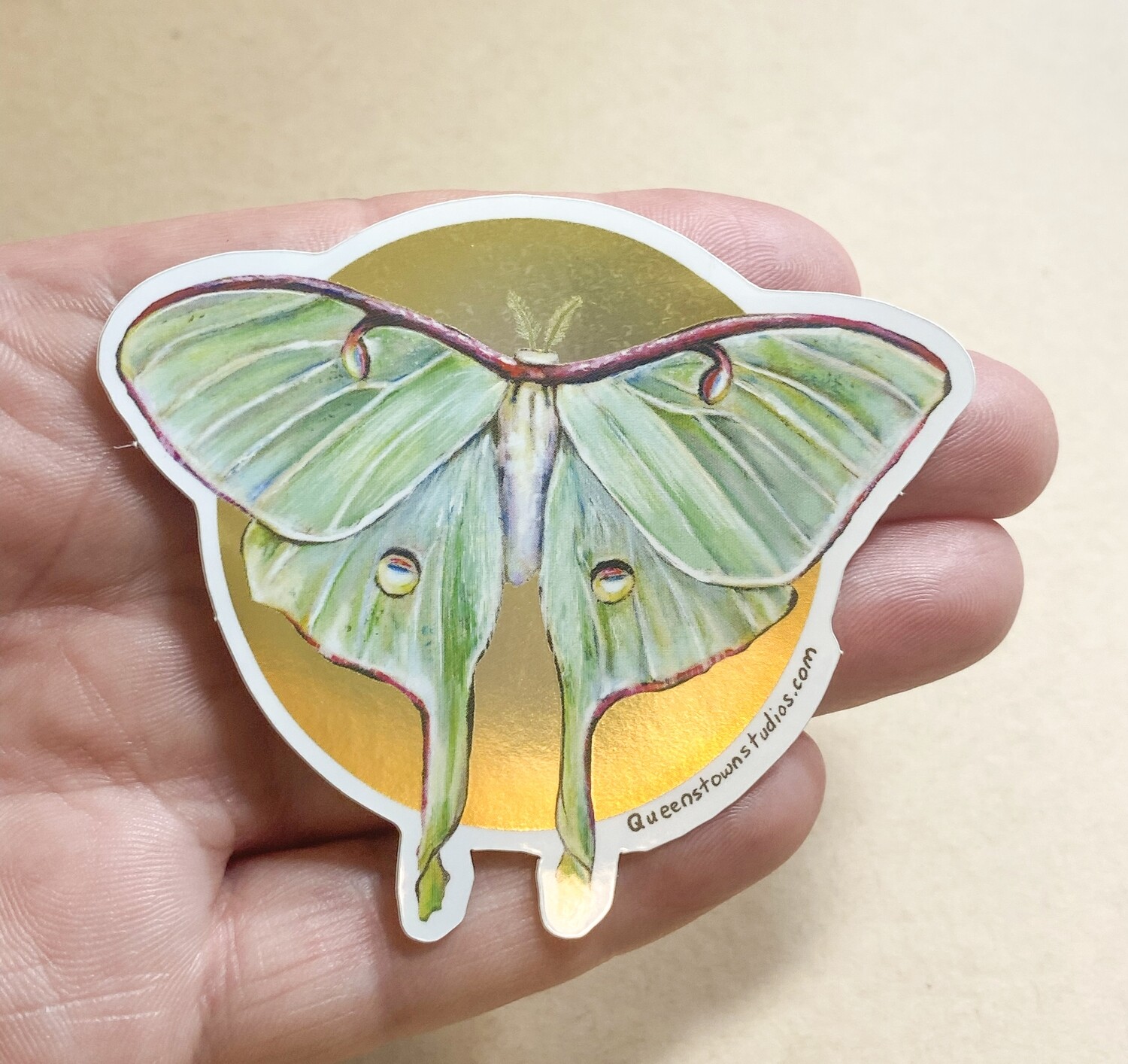 Luna Moth Vinyl Sticker