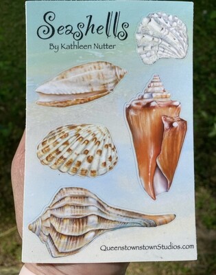 Seashells Vinyl Sticker Pack, featuring hand drawn shells