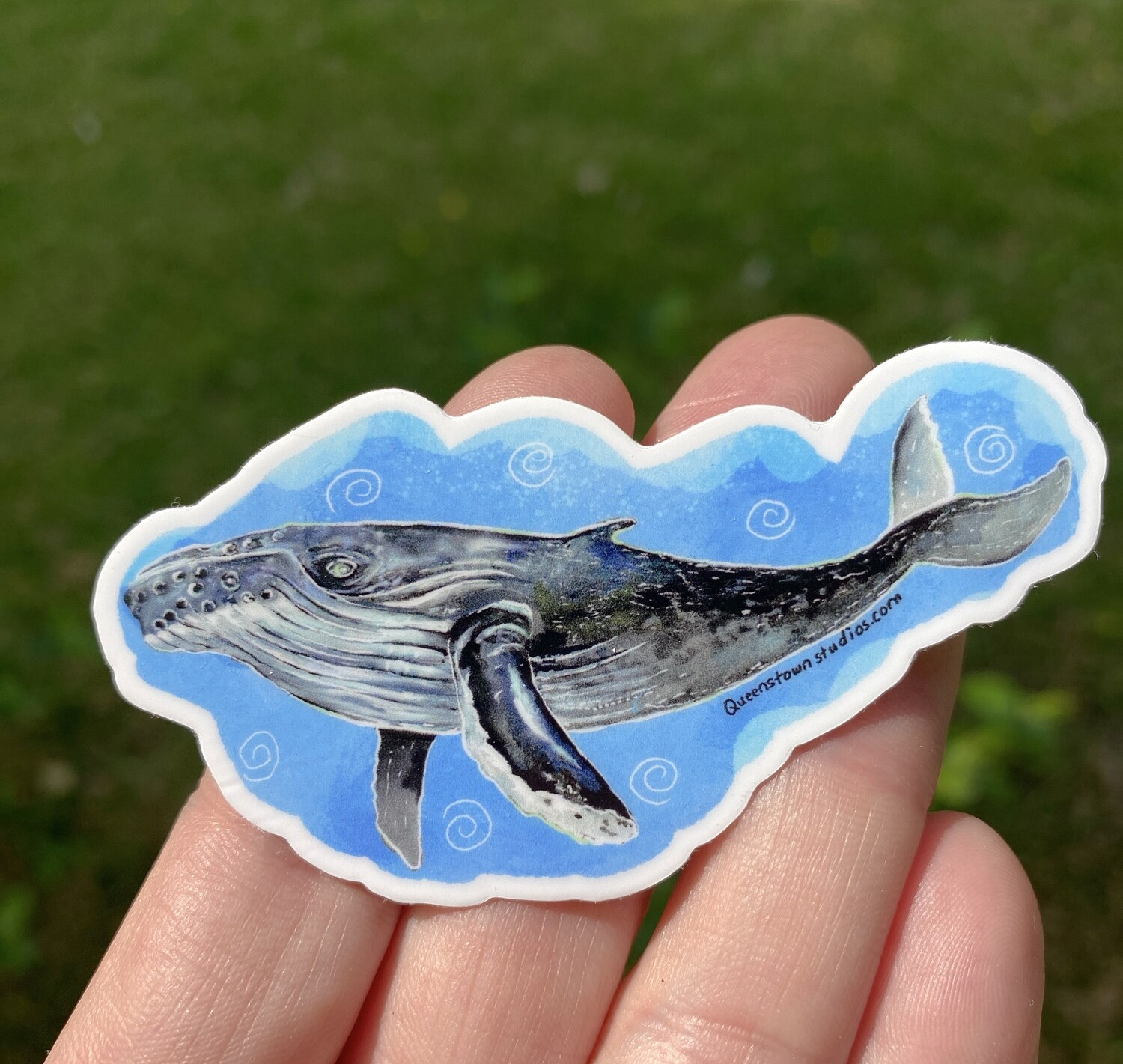 Humpback Whale vinyl Sticker