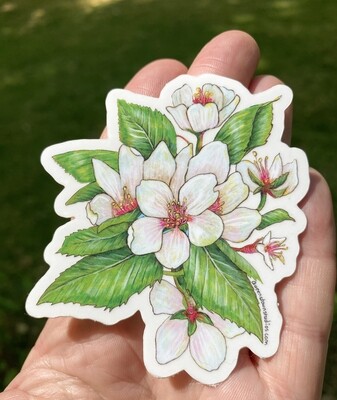 Cherry Blossom Botanical Vinyl Sticker