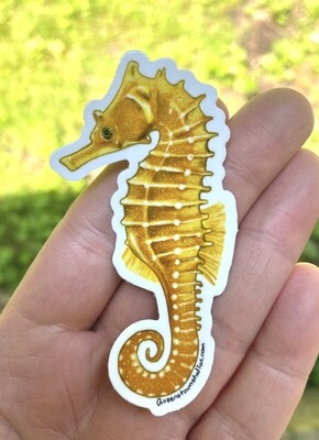 Sea Horse Vinyl Sticker