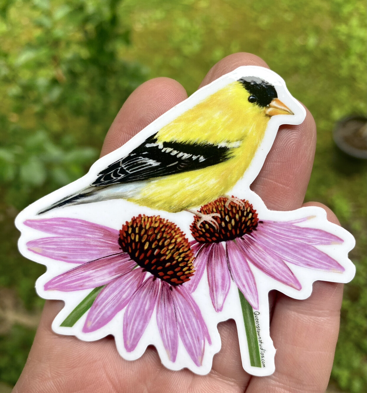 American Goldfinch Vinyl Sticker