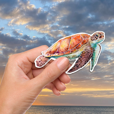 Colorful Sea Turtle Vinyl Sticker