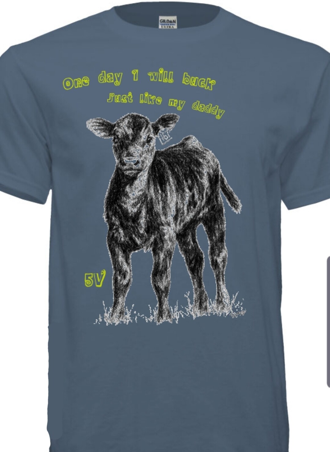 Kids Bull Calf