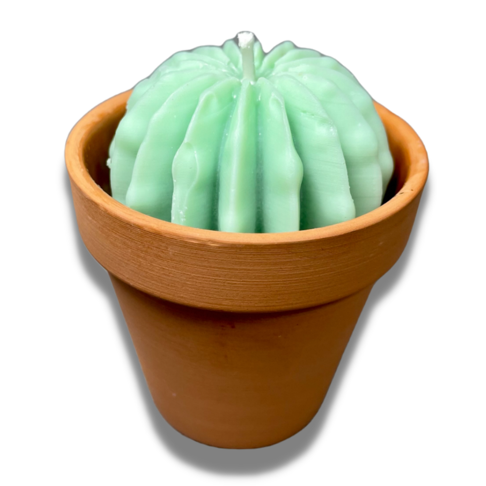 Potted Cactus Candle