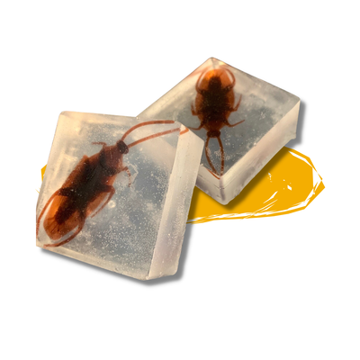 Gag Soap - The Heebies Jeebies (choose from Cockroaches, Spiders, or Ants!)