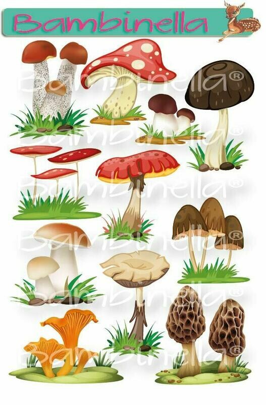 Stickerparade Klebesticker - Pilze - 10 Sticker Stickerparade Klebesticker - Pilze - 10 Sticker