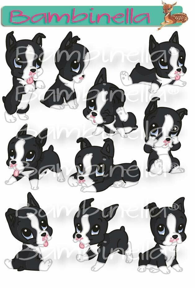 Stickerparade – Boston Terrier - 10 Sticker