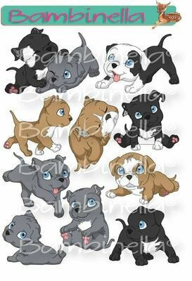 Stickerparade – Pit Bull Terrier - 10 Sticker