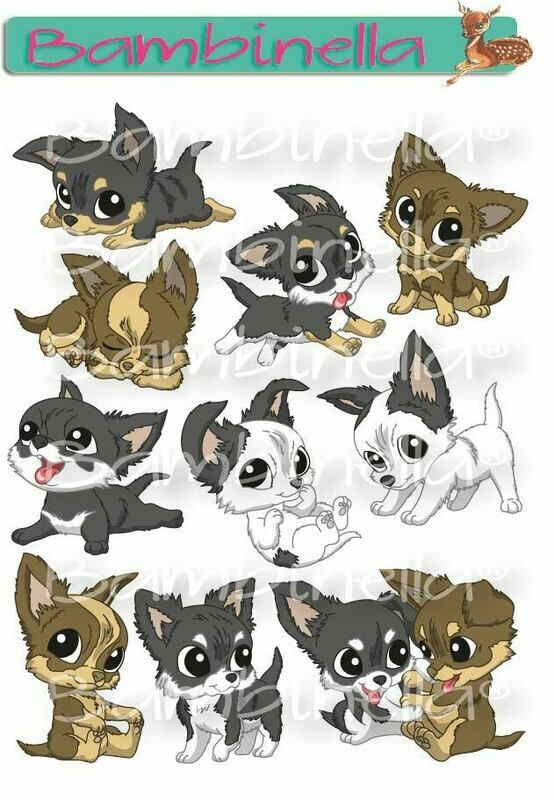 Stickerparade – Chihuahua - 10 Sticker Stickerparade – Chihuahua - 10 Sticker