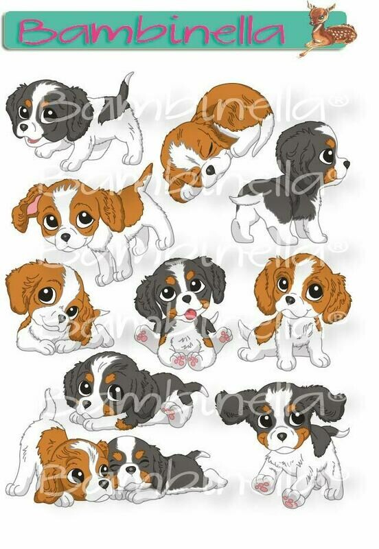 Stickerparade – Cavalier King Charles Spaniel - 10 Sticker Stickerparade – Cavalier King Charles Spaniel - 10 Sticker