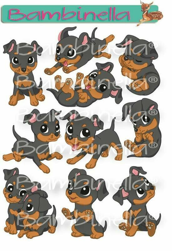 Stickerparade – Pinscher Miniatur Pinscher - 10 Sticker Stickerparade – Pinscher Miniatur Pinscher - 10 Sticker