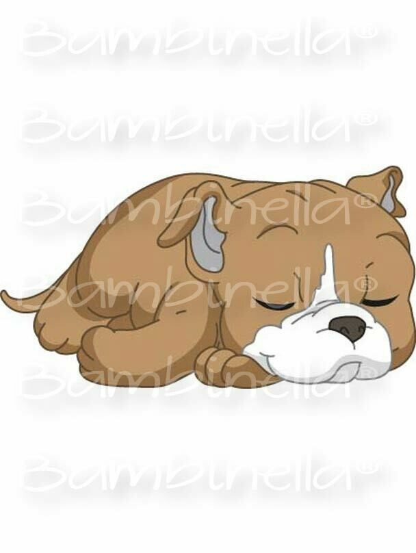 Bügelbild  Velour/Flock Bügelapplikation: Pit Bull Terrier