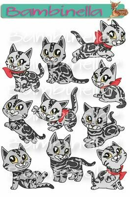 Stickerparade – Amerikanische Kurzhaar Katze - 10 Sticker