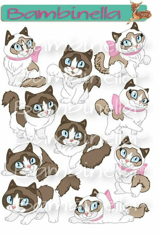 Stickerparade – Ragdoll Katze - 10 Sticker Stickerparade – Ragdoll Katze - 10 Sticker