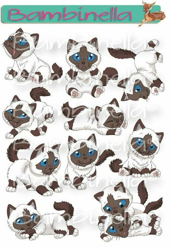 Stickerparade – Birma Katze - 10 Sticker Stickerparade – Birma Katze - 10 Sticker