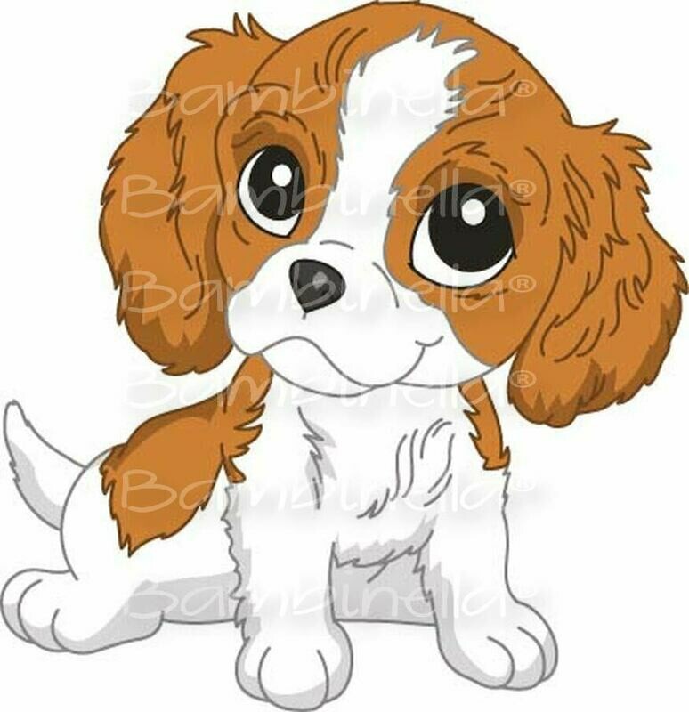 Bügelbild Velour/Flock Bügelapplikation - Motiv: Hund Cavalier King Charles Spaniel Bügelbild Velour/Flock Bügelapplikation - Motiv: Hund Cavalier King Charles Spaniel