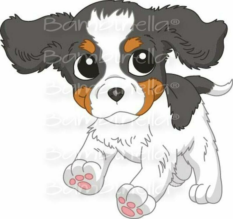 Bügelbild Velour/Flock Bügelapplikation - Motiv: Hund Cavalier King Charles Spaniel Bügelbild Velour/Flock Bügelapplikation - Motiv: Hund Cavalier King Charles Spaniel