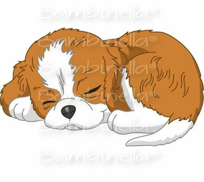 Bügelbild Velour/Flock Bügelapplikation - Motiv: Hund Cavalier King Charles Spaniel Bügelbild Velour/Flock Bügelapplikation - Motiv: Hund Cavalier King Charles Spaniel