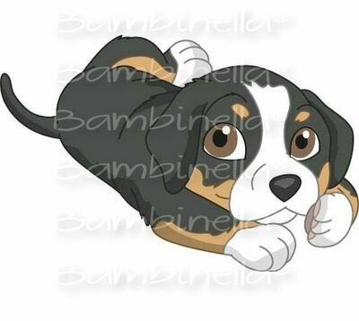 Bügelbild Velour/Flock Bügelapplikation - Motiv: Hund Entlebucher Sennenhund Bügelbild Velour/Flock Bügelapplikation - Motiv: Hund Entlebucher Sennenhund