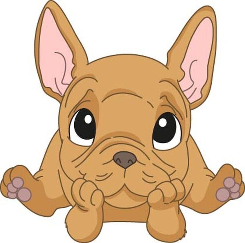 Bügelbild Velour/Flock Bügelapplikation: Französische Bulldogge Bügelbild Velour/Flock Bügelapplikation: Französische Bulldogge