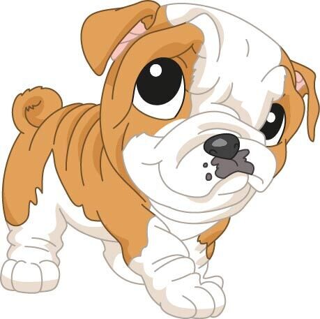 Bügelbild  Velour/Flock Bügelapplikation: Hund Englische Bulldogge